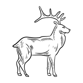 Deer cartoon black and white clipart