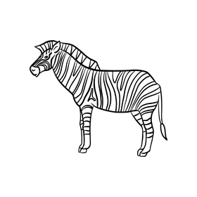 Zebra animal cartoon black and white clipart
