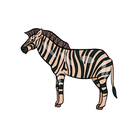 Zebra animal cartoon clipart