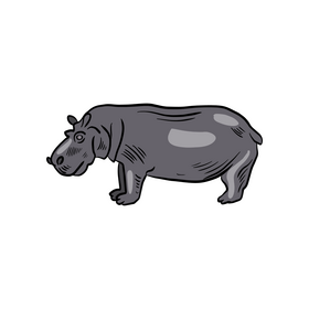 Hippo animal cartoon clipart