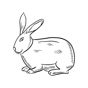 Rabbit animal cartoon black and white clipart