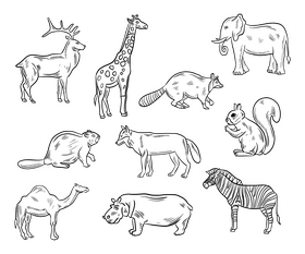 Cartoon animals black and white vector