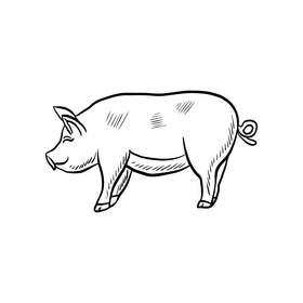 Pig animal black and white clipart