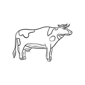 Cow animal drawing black and white clipart