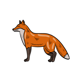 Fox animal clipart