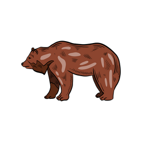 Cartoon bear clipart