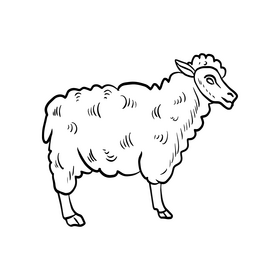 Cartoon sheep black and white clipart free download