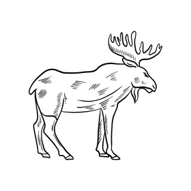Moose cartoon black and white clipart