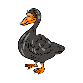 Duck animal clipart