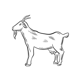 Goat drawing black and white clipart free download