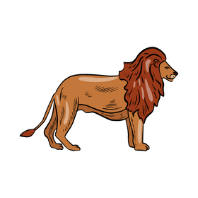 Lion vector - for free download