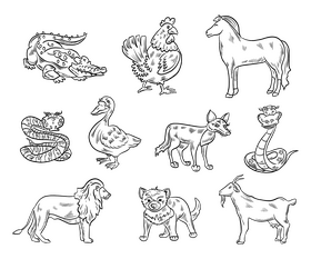 Animals black and white vector