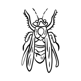 Wasp black and white clipart