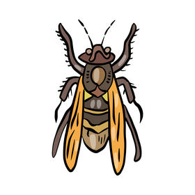 Wasp clipart