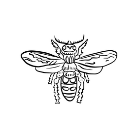 Wasp drawing black and white clipart