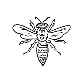 Wasp black and white clipart