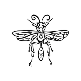Wasp illustration black and white clipart