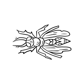 Free wasp black and white clipart