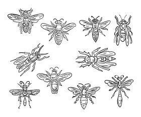 Wasps black and white vector