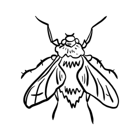 Insect black and white clipart