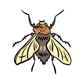 Insect clipart