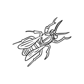 Free wasp illustration black and white clipart