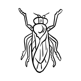 Fly insect drawing black and white clipart