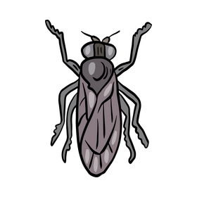 Fly insect drawing clipart