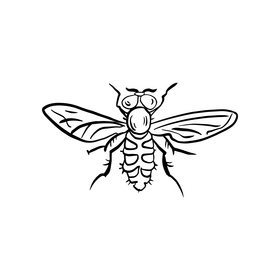 Fly insect cartoon black and white clipart