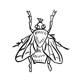 Insect black and white clipart