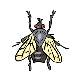 Insect clipart