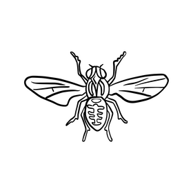 Cartoon insect black and white clipart