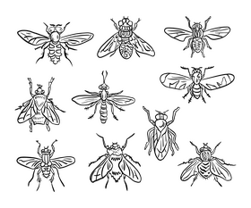Insects black and white vector