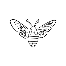 Moth black and white clipart