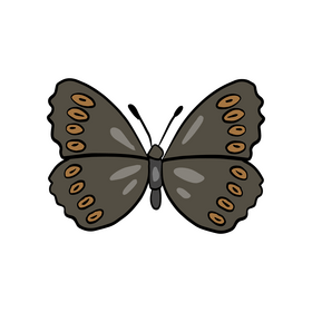 Moth drawing clipart