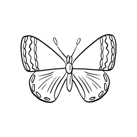 Moth insect black and white clipart