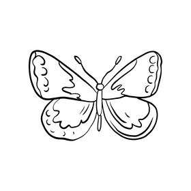 Moth insect black and white clipart
