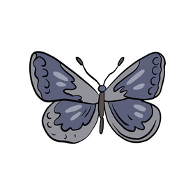 Moth insect clipart