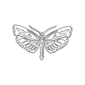 Free moth insect black and white clipart