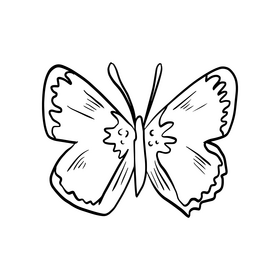 Cossina black and white clipart