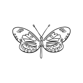 Cossina moth black and white clipart