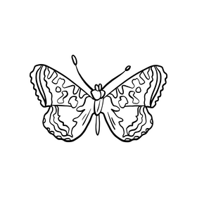 Cossina black and white clipart