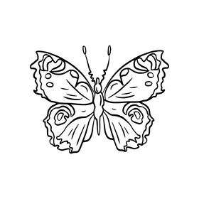 Cossina insect black and white clipart