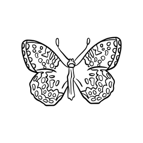 Cossina butterfly illustration black and white clipart