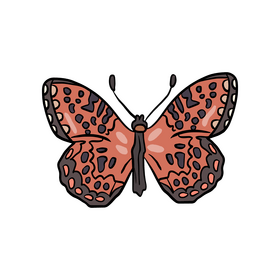 Cossina butterfly illustration clipart