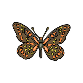 Cossina butterfly clipart