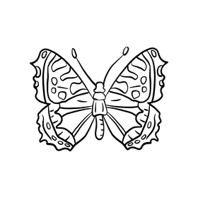 Cossina butterfly black and white clipart