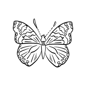 Free cossina butterfly black and white clipart