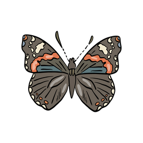 Free cossina butterfly clipart