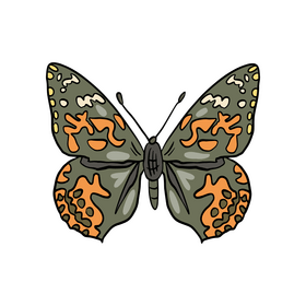 Cossina butterfly clipart